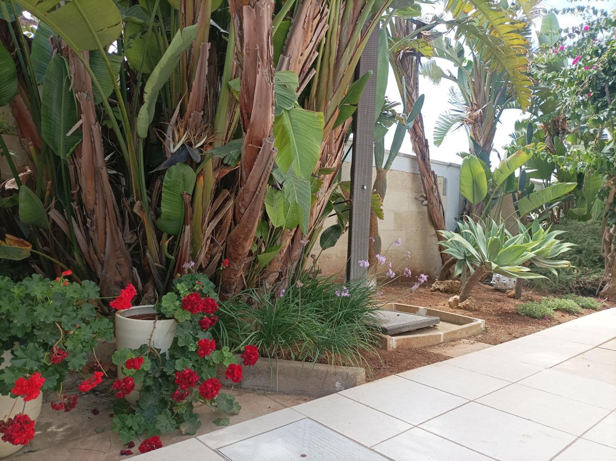 La Giara Resort Torre San Giovanni Extérieur photo